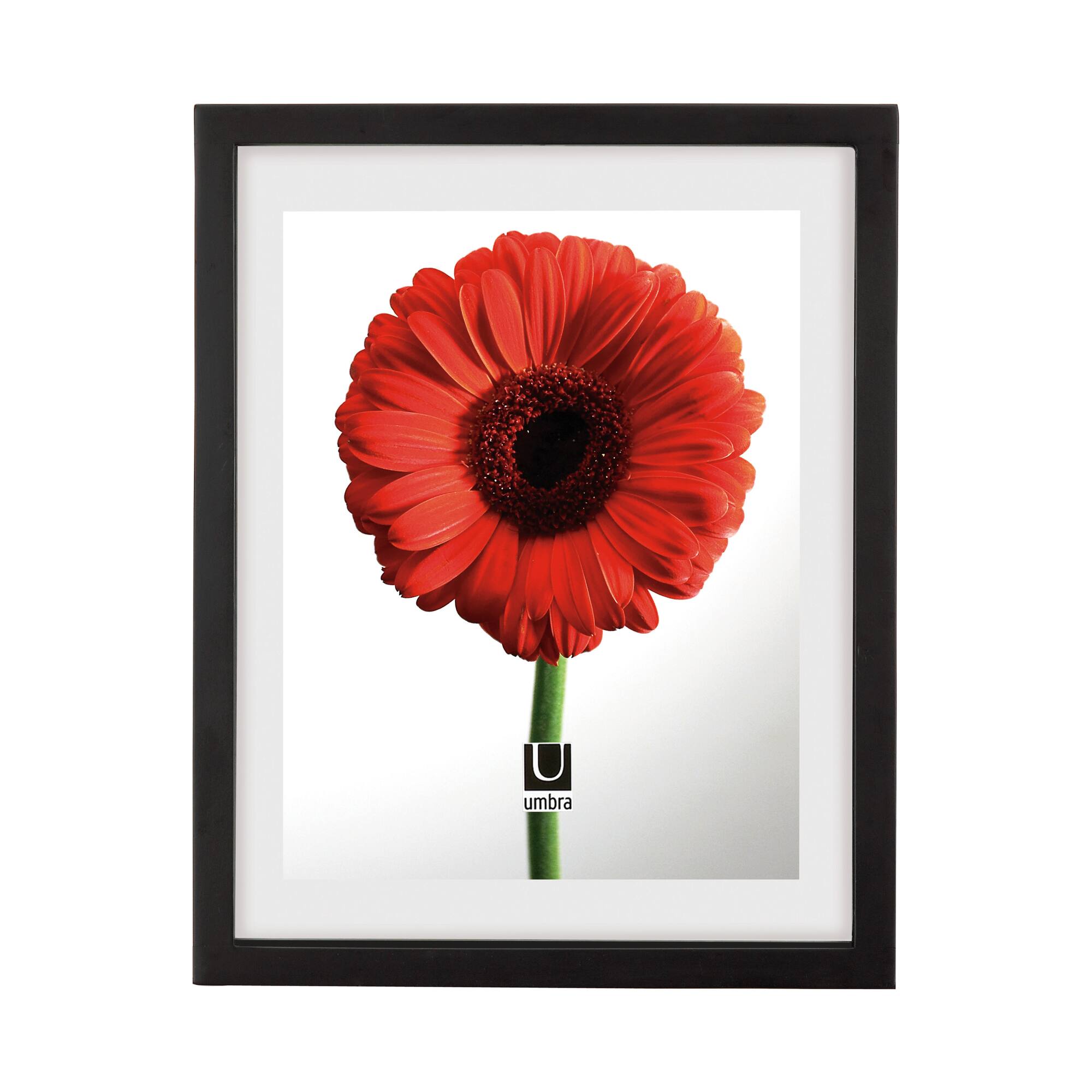 Umbra Black Document 14" x 11" Rectangular Frame